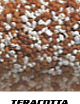 Terracotta/White