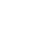 White Seal Icon Image