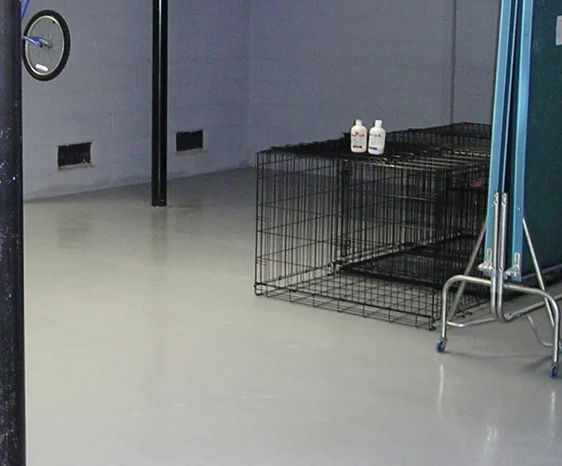 Residential Basement Application of UCoat