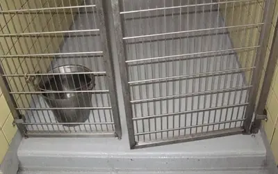 Jagersbo Kennels Troy MI