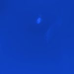 Medium Blue