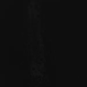 Black Gloss