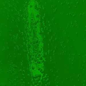 Green Gloss