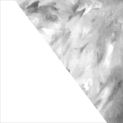 White w/ Graphite Metallic