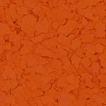 Bright Orange
