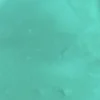 Caribbean Green metallic