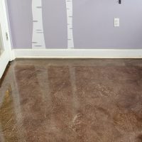 Metallon 100 Pet Resort metallic floor coating