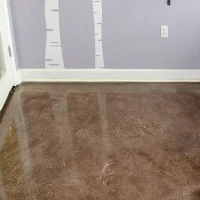 Metallon 100 Pet Resort metallic floor coating