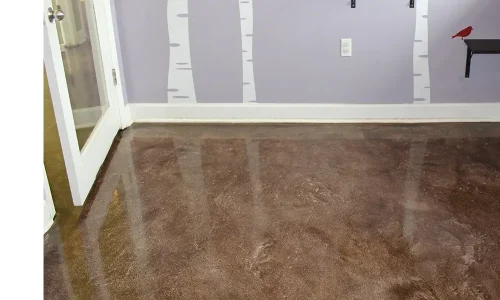 Metallon 100 Pet Resort metallic floor coating