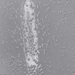 Medium Gray