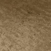 Raw Sienna Tint