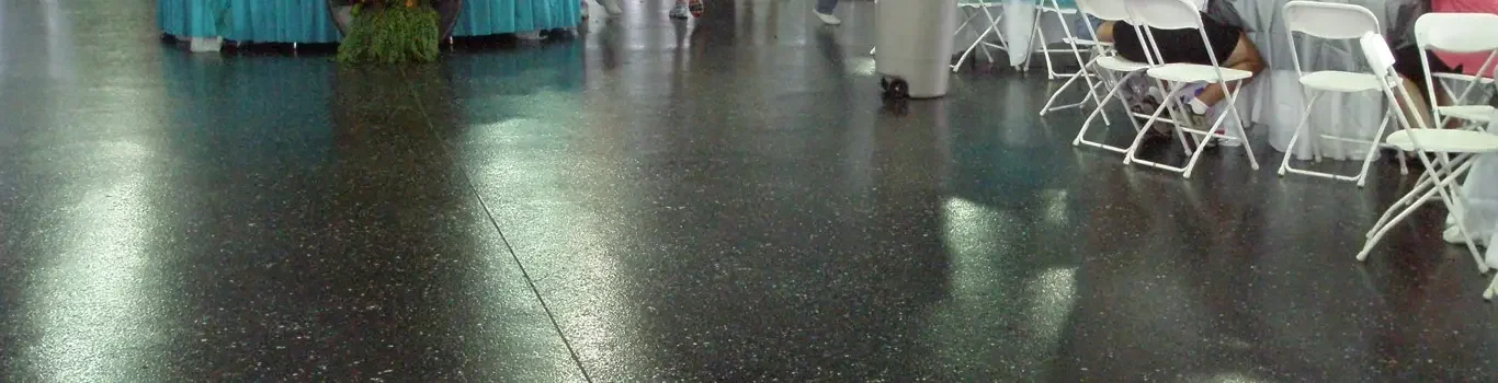 Gainesville Raceway Gainesville FL