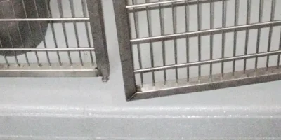 Jagersbo Kennels Troy MI