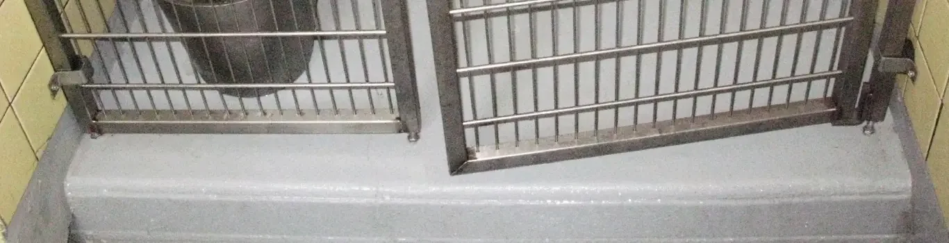 Jagersbo Kennels Troy MI