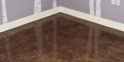 New Beginnings Animal Rescue Royal Oak MI