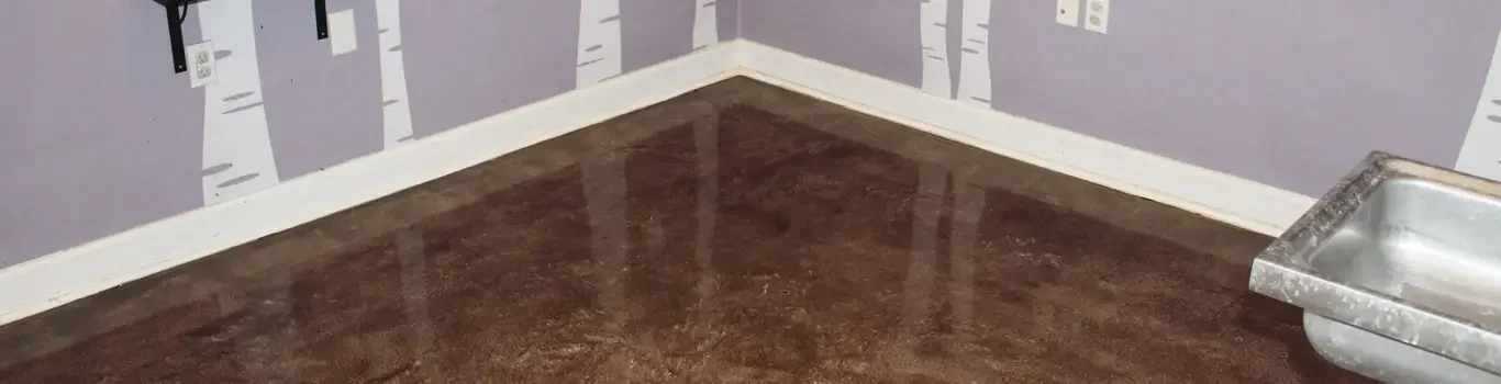 New Beginnings Animal Rescue Royal Oak MI