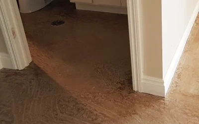 Residential Basements Sample 01