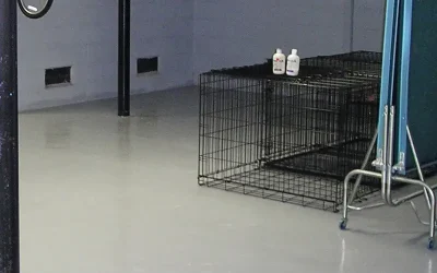 Residential Basement Application of UCoat